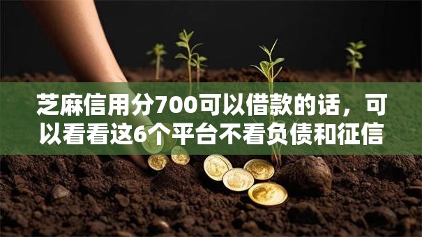 芝麻信用分700可以借款的话，可以看看这6个平台不看负债和征信可以借到钱
