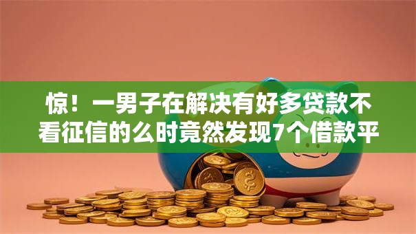 惊！一男子在解决有好多贷款不看征信的么时竟然发现7个借款平台可以给黑户当前有逾期的借款一万，事后分享了出来
