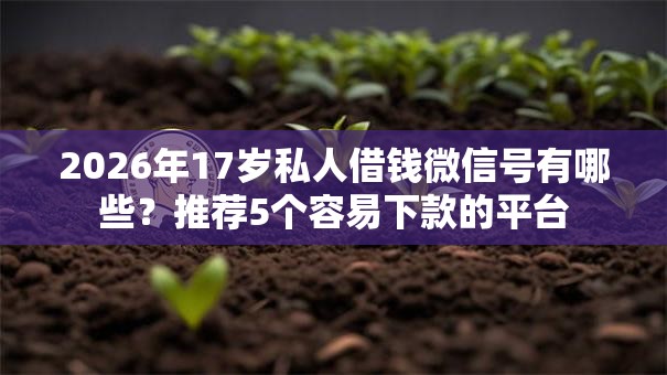 2026年17岁私人借钱微信号有哪些？推荐5个容易下款的平台