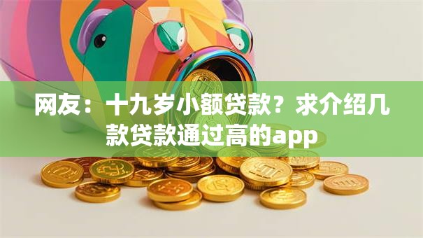 网友：十九岁小额贷款？求介绍几款贷款通过高的app