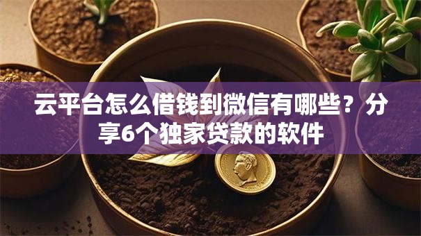 云平台怎么借钱到微信有哪些？分享6个独家贷款的软件