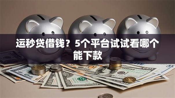 运秒贷借钱？5个平台试试看哪个能下款