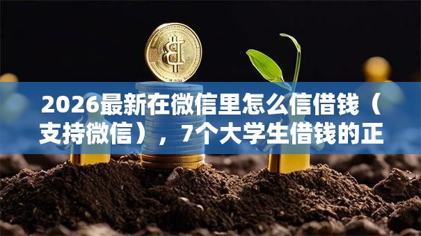 2026最新在微信里怎么信借钱（支持微信），7个大学生借钱的正规平台无私分享