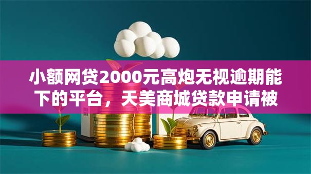 小额网贷2000元高炮无视逾期能下的平台，天美商城贷款申请被拒怎么办的7个平台介绍