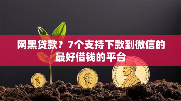 网黑贷款？7个支持下款到微信的最好借钱的平台