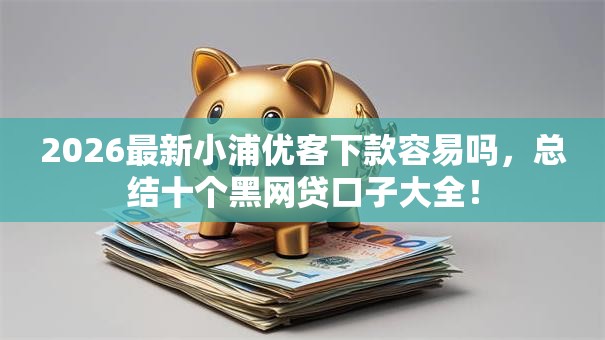2026最新小浦优客下款容易吗，总结十个黑网贷口子大全！