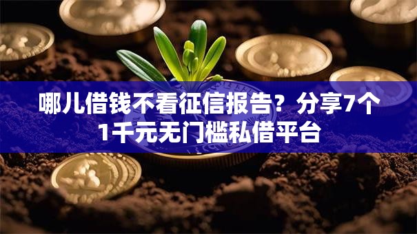 哪儿借钱不看征信报告?分享7个1千元无门槛私借平台 哪儿借钱不看征信报告?分享7个1千元无门槛私借平台