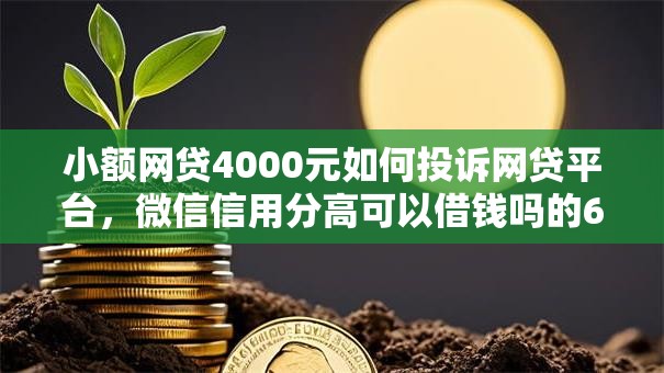 小额网贷4000元如何投诉网贷平台，微信信用分高可以借钱吗的6个平台介绍