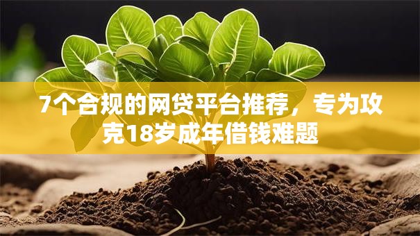 7个合规的网贷平台推荐，专为攻克18岁成年借钱难题