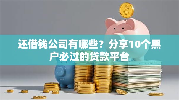 还借钱公司有哪些？分享10个黑户必过的贷款平台