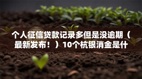 个人征信贷款记录多但是没逾期（最新发布！）10个杭银消金是什么贷款平台