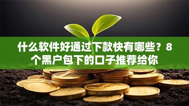 什么软件好通过下款快有哪些？8个黑户包下的口子推荐给你