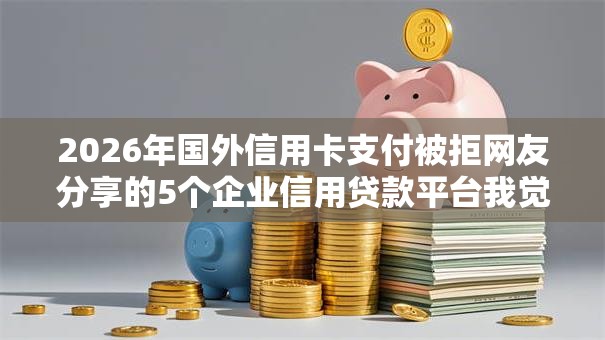 2026年国外信用卡支付被拒网友分享的5个企业信用贷款平台我觉得不错！