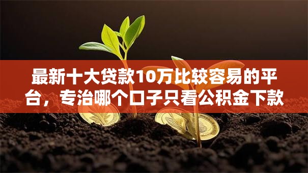 最新十大贷款10万比较容易的平台，专治哪个口子只看公积金下款