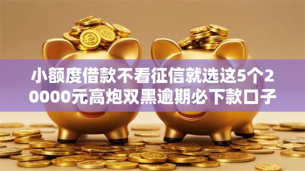 小额度借款不看征信就选这5个20000元高炮双黑逾期必下款口子