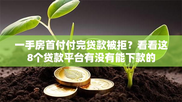一手房首付付完贷款被拒？看看这8个贷款平台有没有能下款的