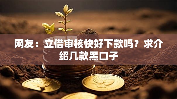 网友：立借审核快好下款吗？求介绍几款黑口子