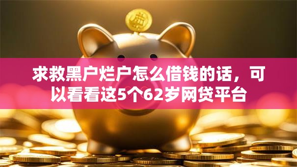 求救黑户烂户怎么借钱的话，可以看看这5个62岁网贷平台