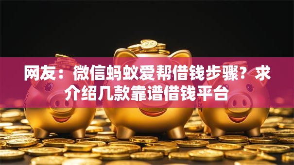 网友：微信蚂蚁爱帮借钱步骤？求介绍几款靠谱借钱平台