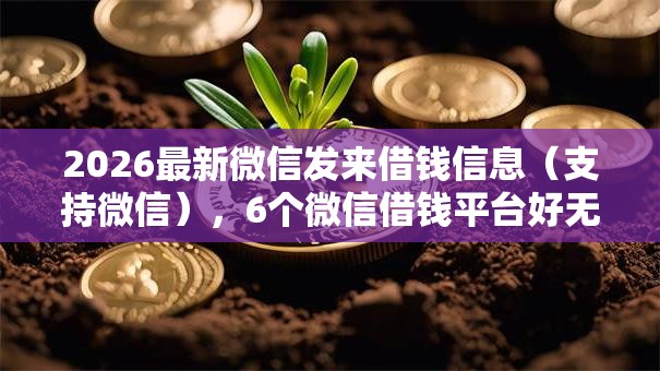 2026最新微信发来借钱信息（支持微信），6个微信借钱平台好无私分享