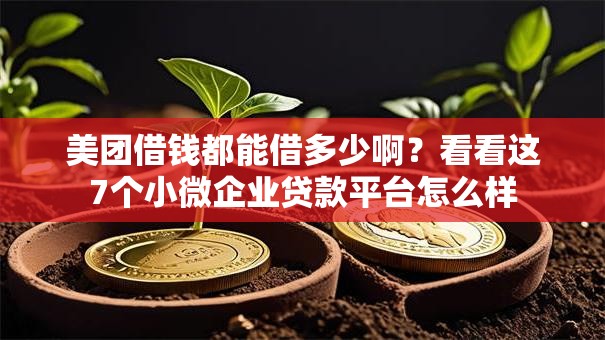 美团借钱都能借多少啊？看看这7个小微企业贷款平台怎么样