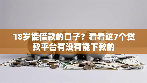 18岁能借款的口子？看看这7个贷款平台有没有能下款的