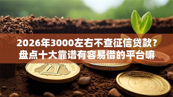 2026年3000左右不查征信贷款？盘点十大靠谱有容易借的平台嘛