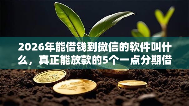 2026年能借钱到微信的软件叫什么，真正能放款的5个一点分期借款平台推荐