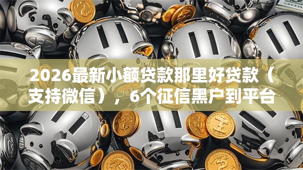 2026最新小额贷款那里好贷款（支持微信），6个征信黑户到平台可以借到钱无私分享