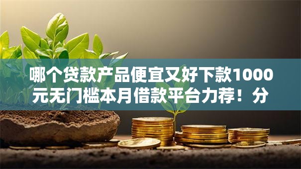 哪个贷款产品便宜又好下款1000元无门槛本月借款平台力荐！分享小额网贷口子1000元无门槛借款