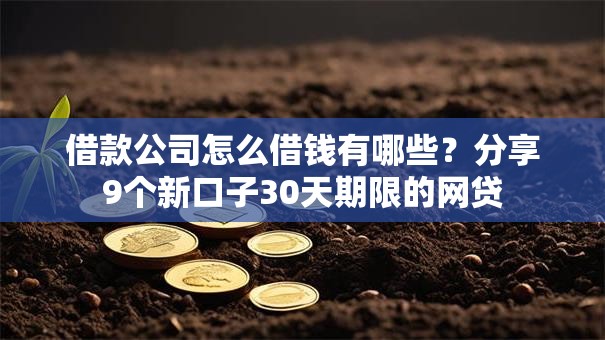 借款公司怎么借钱有哪些？分享9个新口子30天期限的网贷