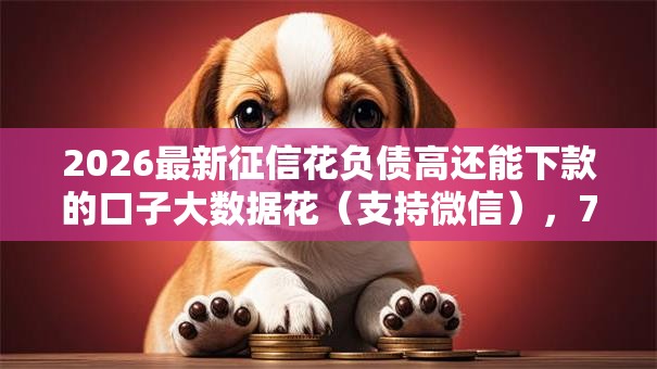 2026最新征信花负债高还能下款的口子大数据花（支持微信），7个2025互联网正规持牌贷款平台无私分享