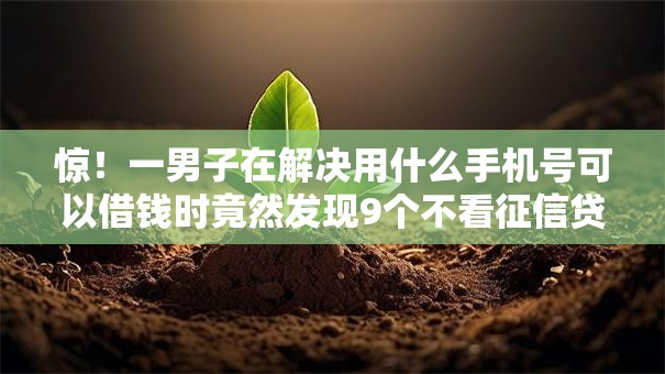 惊!一男子在解决用什么手机号可以借钱时竟然发现9个不看征信贷款平台,事后分享了出来 惊!一男子在解决用什么手机号可以借钱时竟然发现9个不看征信贷款平台,事后分享了出来