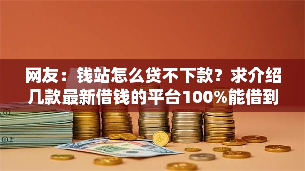 网友：钱站怎么贷不下款？求介绍几款最新借钱的平台100%能借到