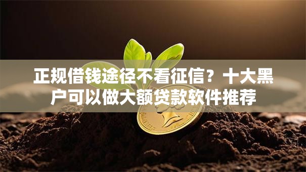 正规借钱途径不看征信？十大黑户可以做大额贷款软件推荐