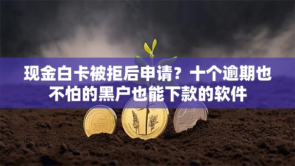 现金白卡被拒后申请？十个逾期也不怕的黑户也能下款的软件