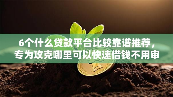 6个什么贷款平台比较靠谱推荐，专为攻克哪里可以快速借钱不用审核可以借2年难题