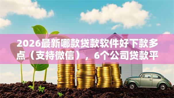2026最新哪款贷款软件好下款多点（支持微信），6个公司贷款平台无私分享