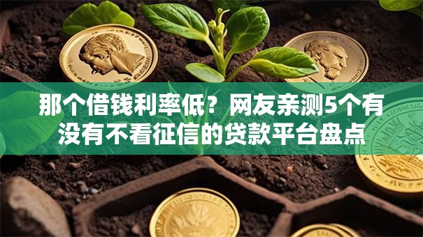 那个借钱利率低？网友亲测5个有没有不看征信的贷款平台盘点