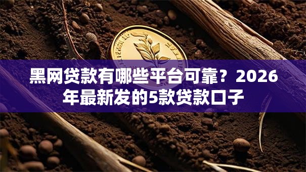 黑网贷款有哪些平台可靠？2026年最新发的5款贷款口子