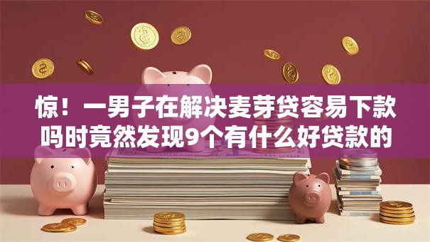 惊！一男子在解决麦芽贷容易下款吗时竟然发现9个有什么好贷款的平台，事后分享了出来