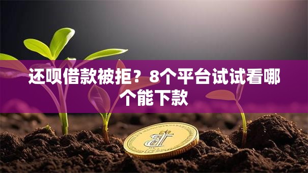 还呗借款被拒？8个平台试试看哪个能下款
