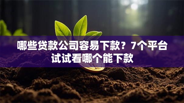 哪些贷款公司容易下款？7个平台试试看哪个能下款