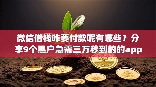 微信借钱咋要付款呢有哪些？分享9个黑户急需三万秒到的的app