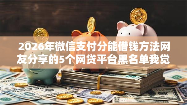 2026年微信支付分能借钱方法网友分享的5个网贷平台黑名单我觉得不错！
