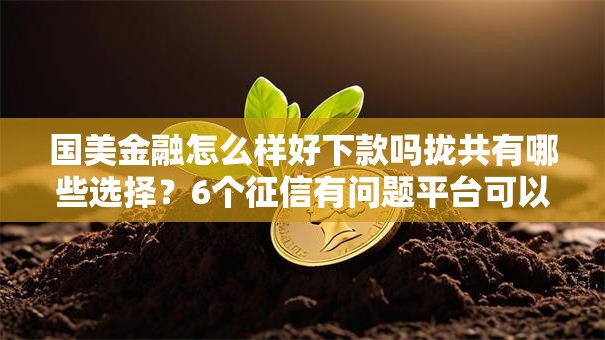国美金融怎么样好下款吗拢共有哪些选择？6个征信有问题平台可以贷款详解