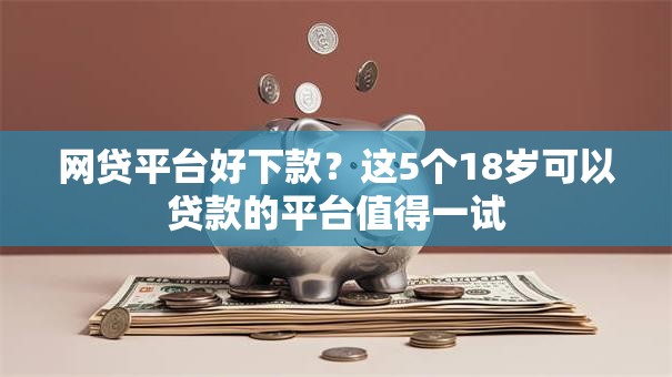 网贷平台好下款？这5个18岁可以贷款的平台值得一试