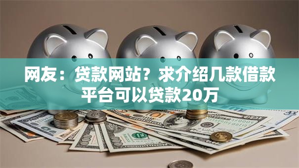 网友：贷款网站？求介绍几款借款平台可以贷款20万