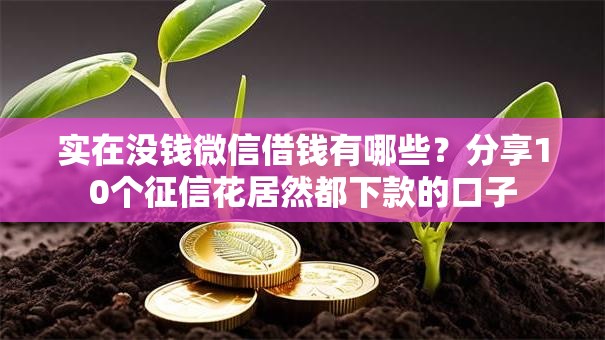 实在没钱微信借钱有哪些？分享10个征信花居然都下款的口子