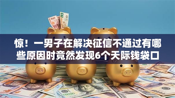 惊！一男子在解决征信不通过有哪些原因时竟然发现6个天际钱袋口子入口，事后分享了出来
